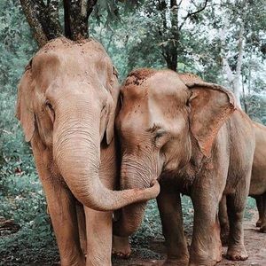 Meet your Posher, Morgan